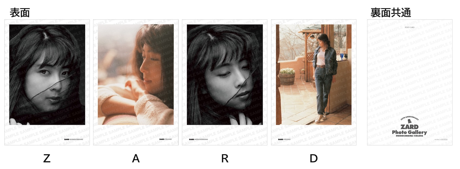 ZARD・坂井泉水の写真