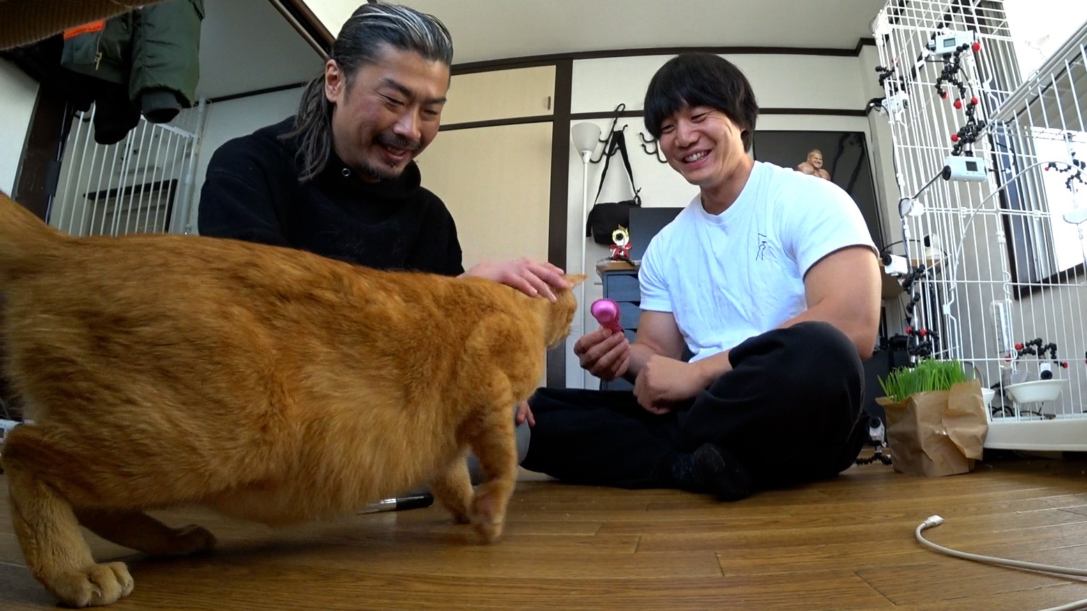 青木マッチョとパンサー・菅良太郎の写真