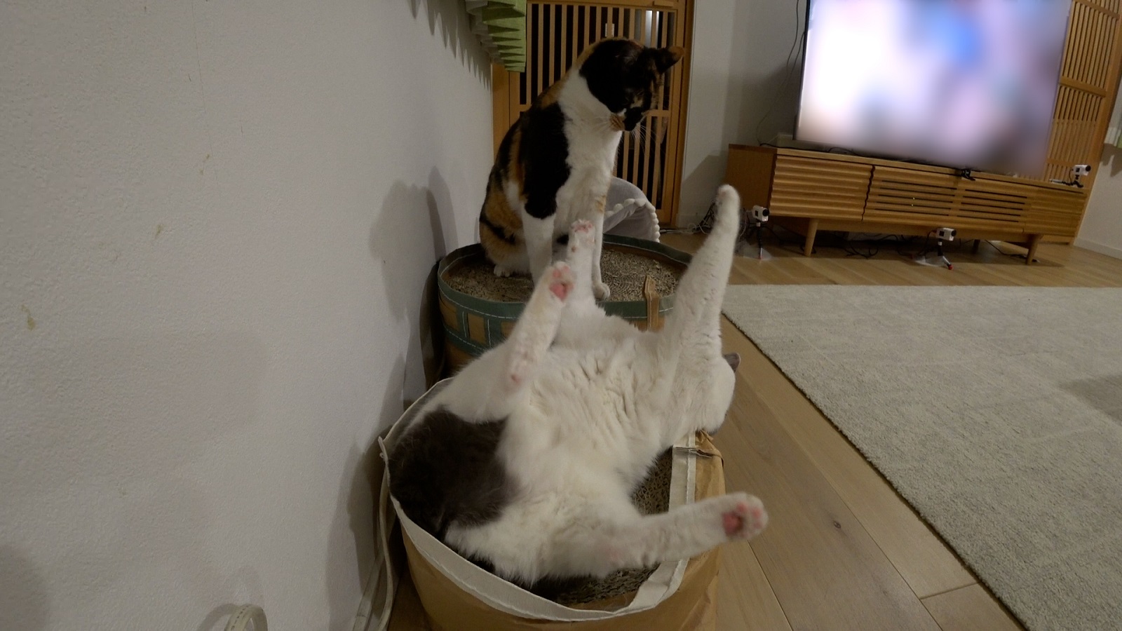 ブルボンの写真