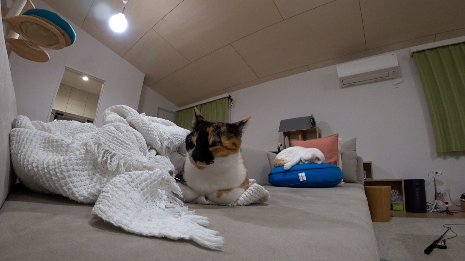 ブルボンの写真