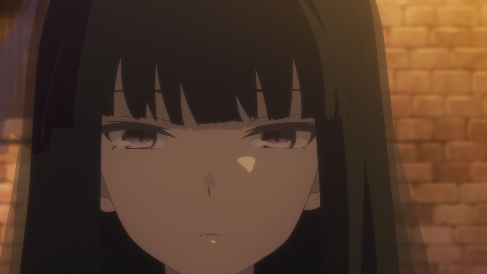 ある魔女が死ぬまでの写真